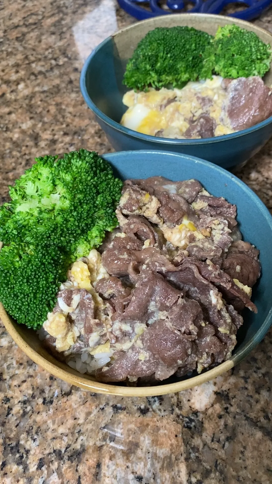 quick-and-easy-gyudon
