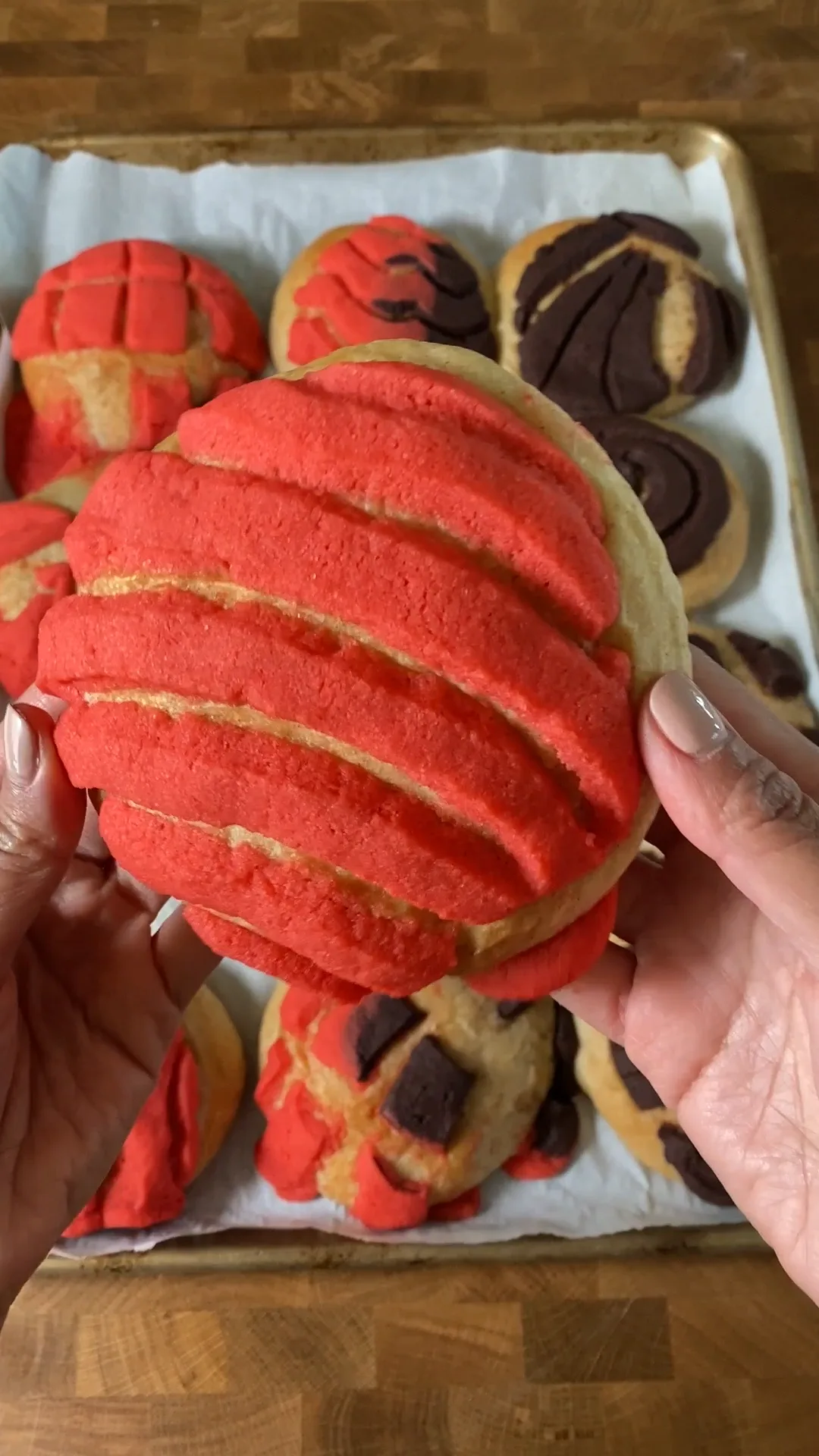 conchas