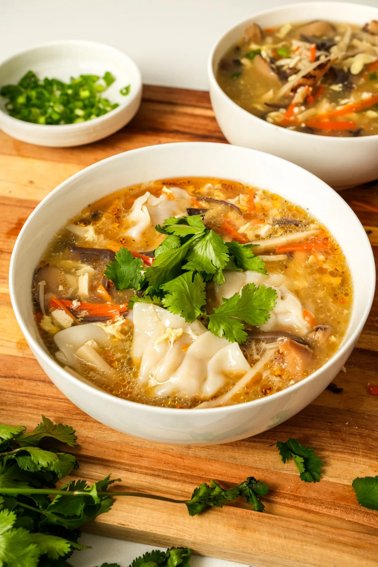 hot-and-sour-soup-with-chicken-dumplings