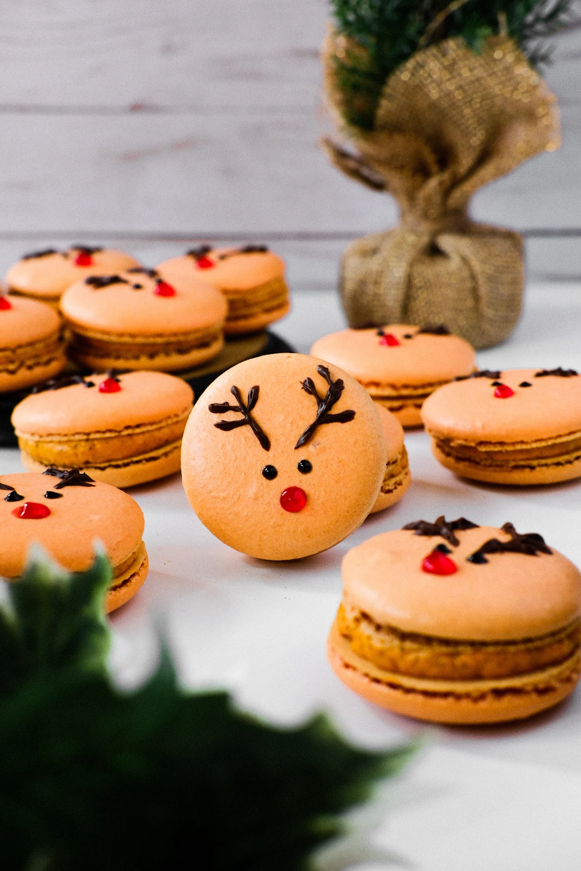 christmas-reindeer-thai-tea-macarons