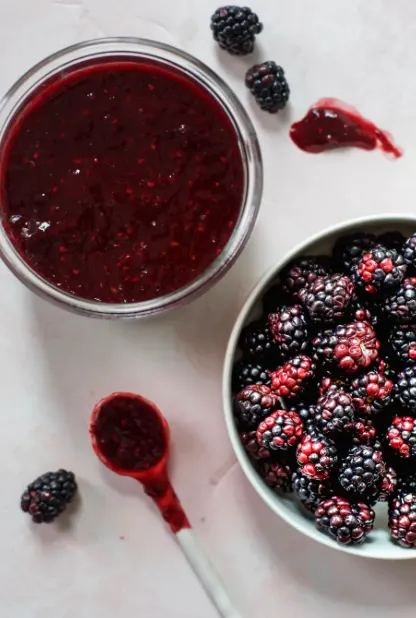 blackberry-barbeque-(bbq)-sauce-19