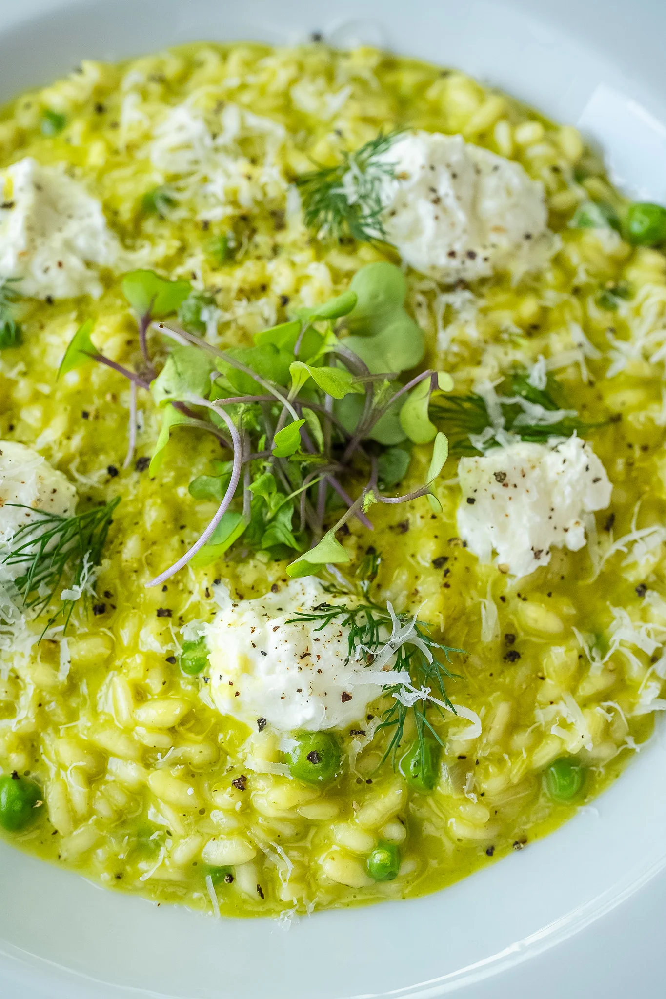 basil-asparagus-leek-and-goat-cheese-risotto