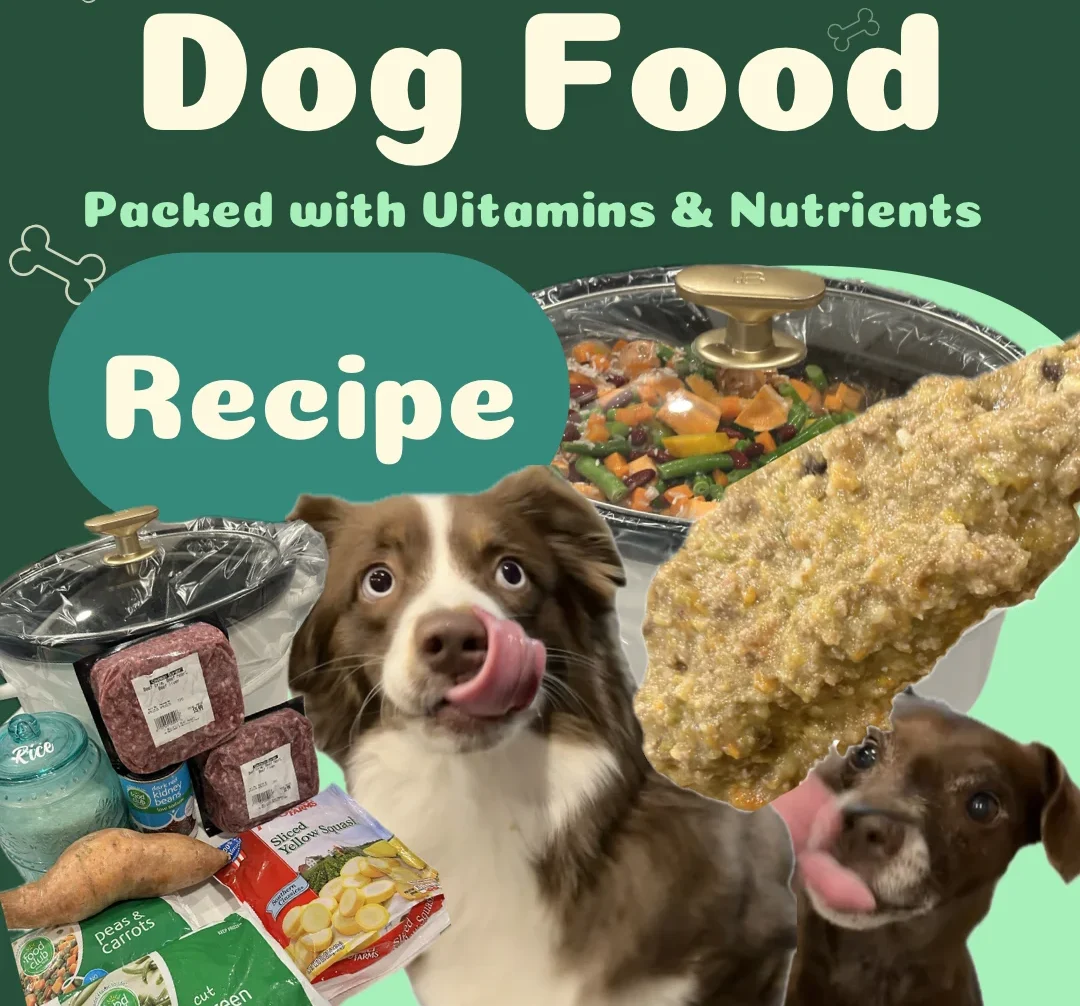 homemade-dog-food:-beef-and-veggies