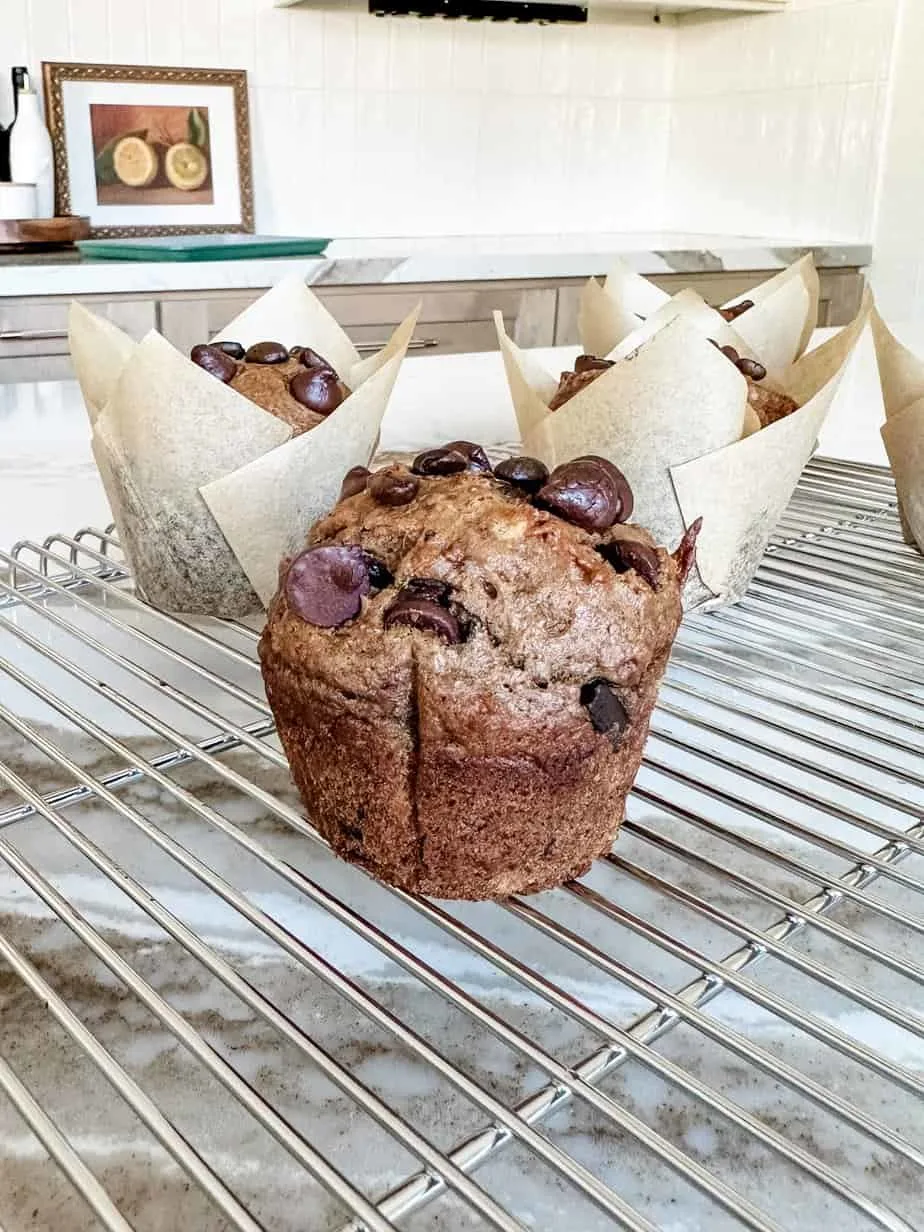 chocolate-chip-espresso-muffins