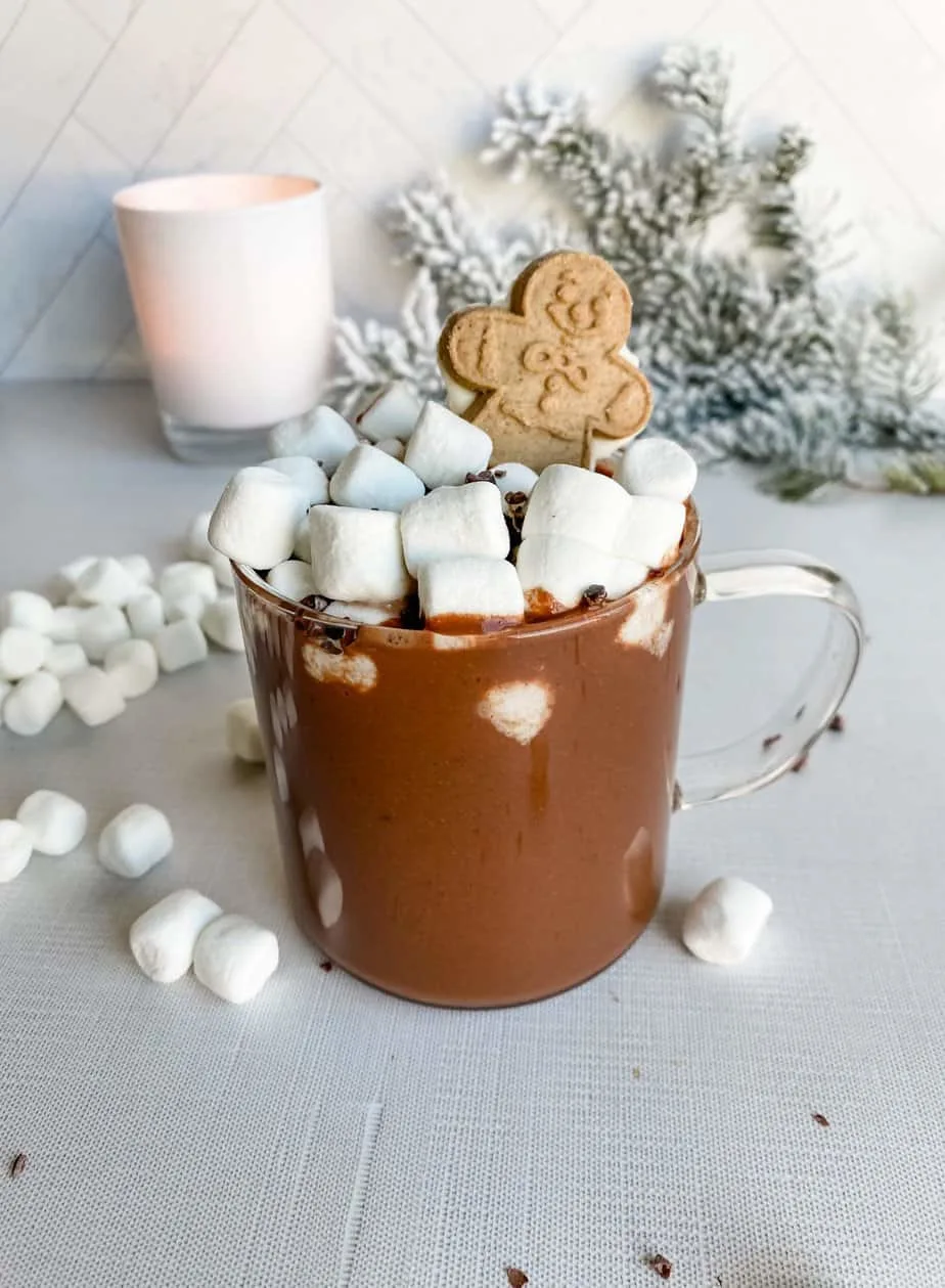 vegan-hot-cocoa