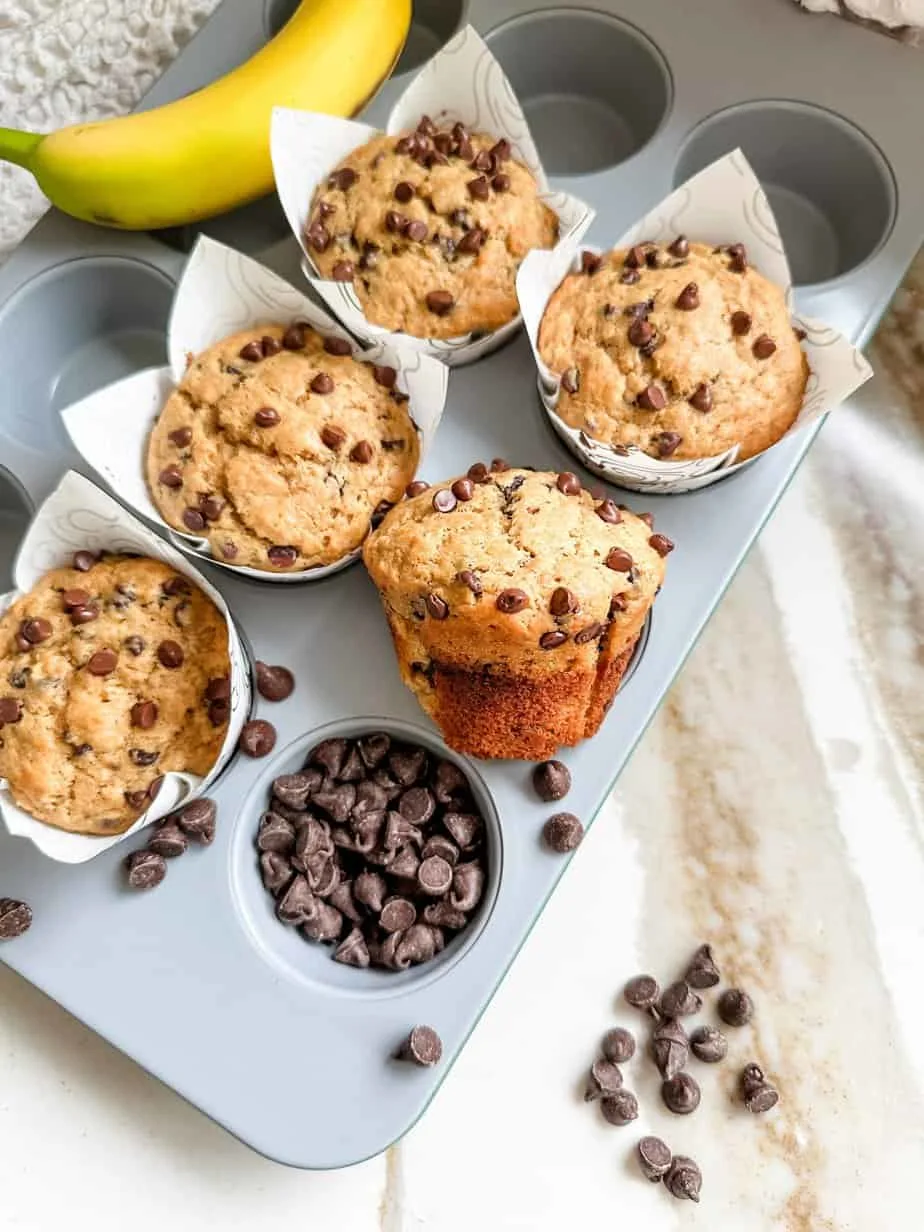 greek-yogurt-chocolate-chip-muffins