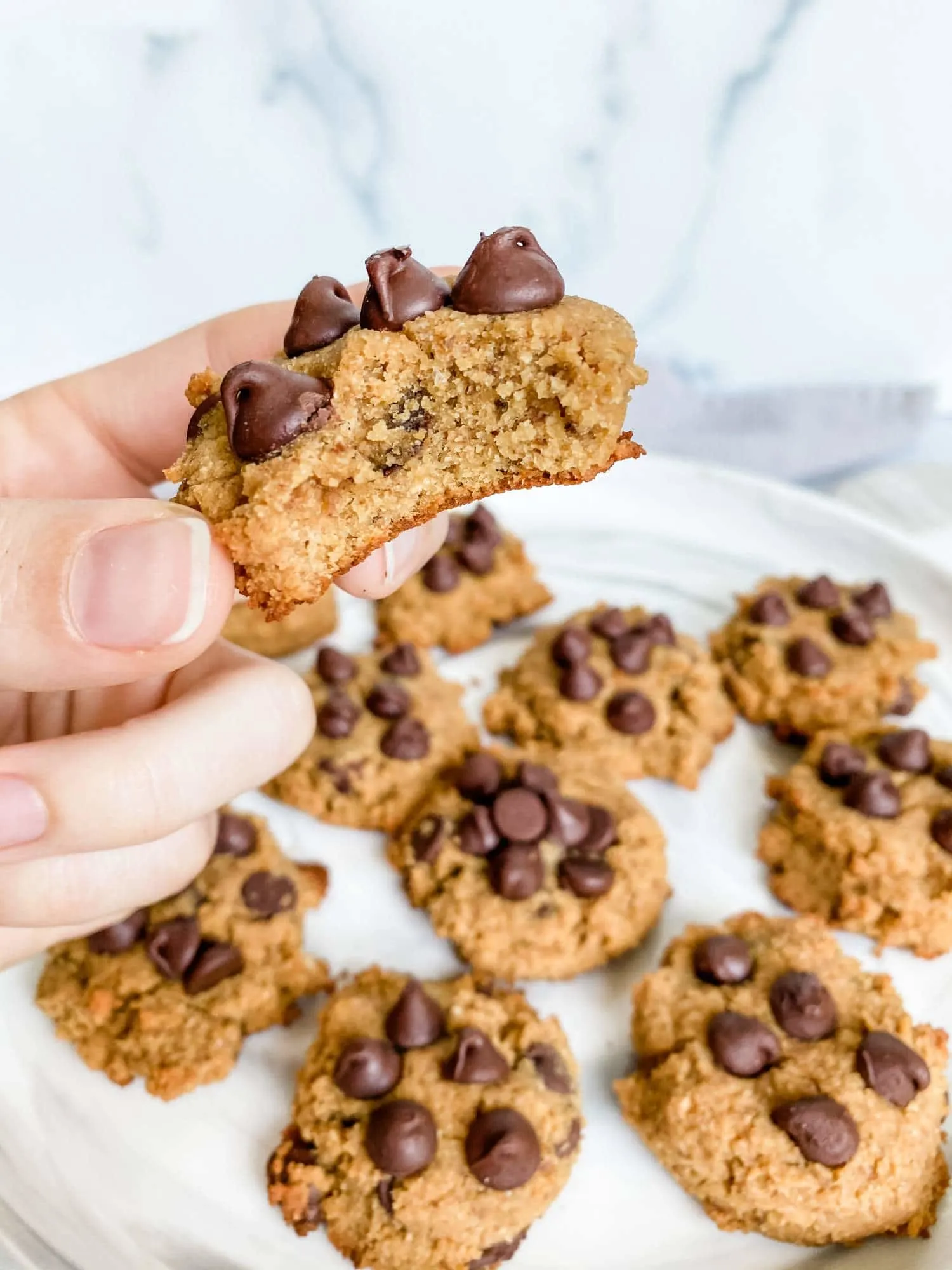 soft-baked-gluten-free-chocolate-chip-cookies
