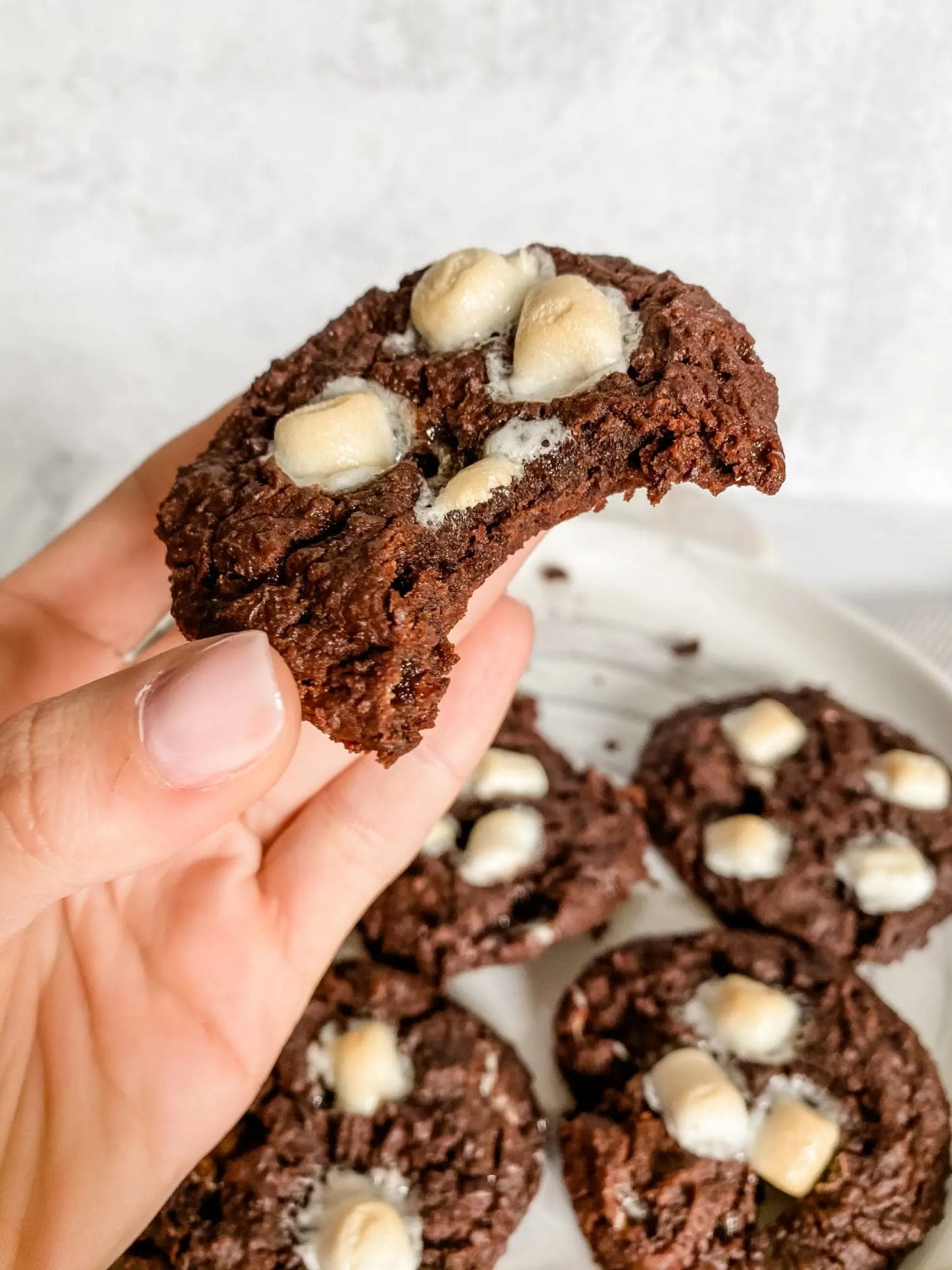 flourless-hot-coco-cookies