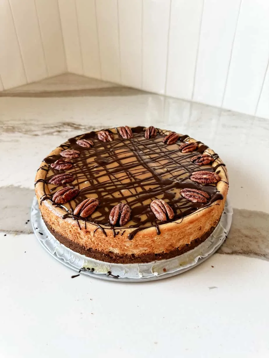 turtle-cheesecake