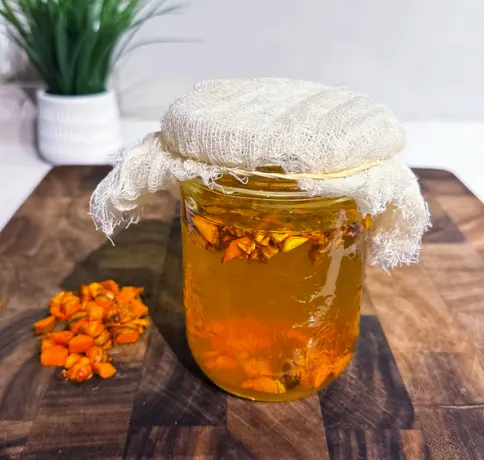 turmeric-bug
