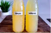 wild-fermented-mango-drink