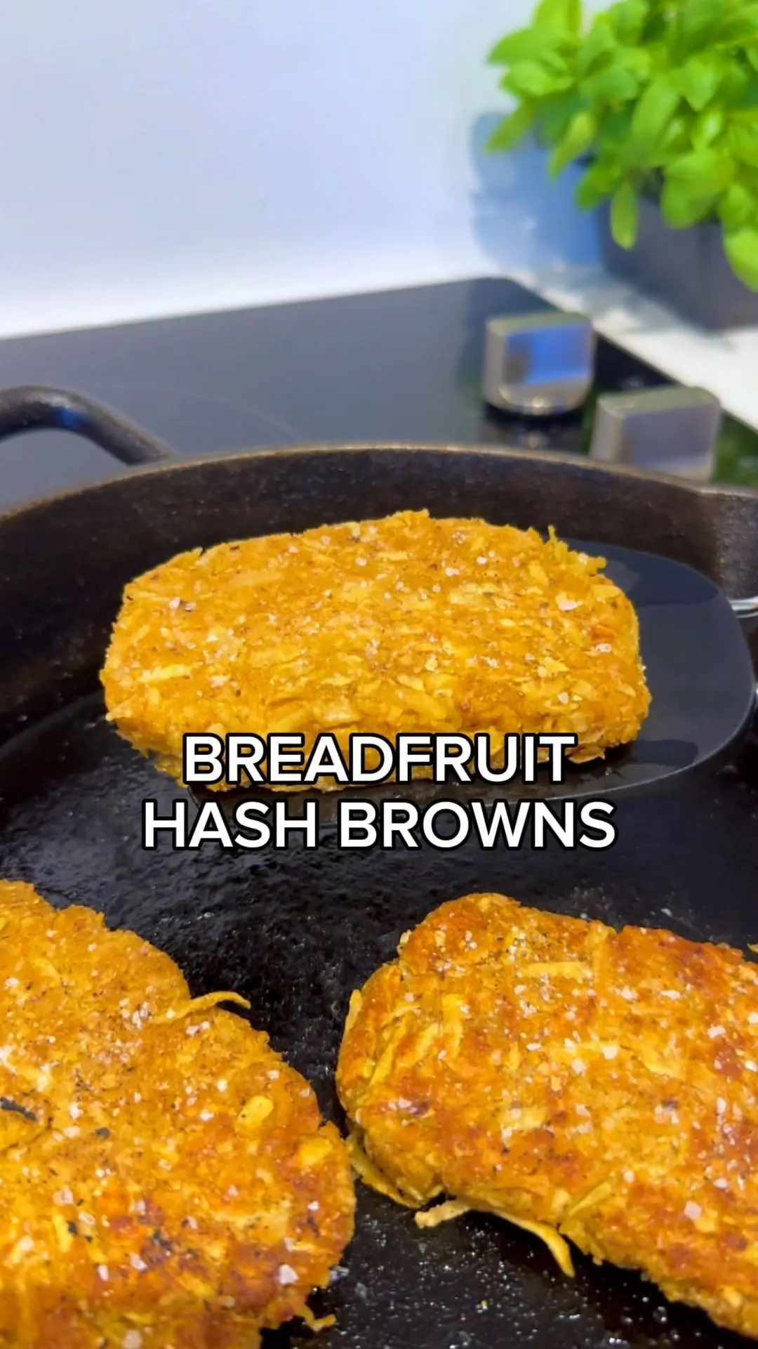 breadfruit-hash-browns