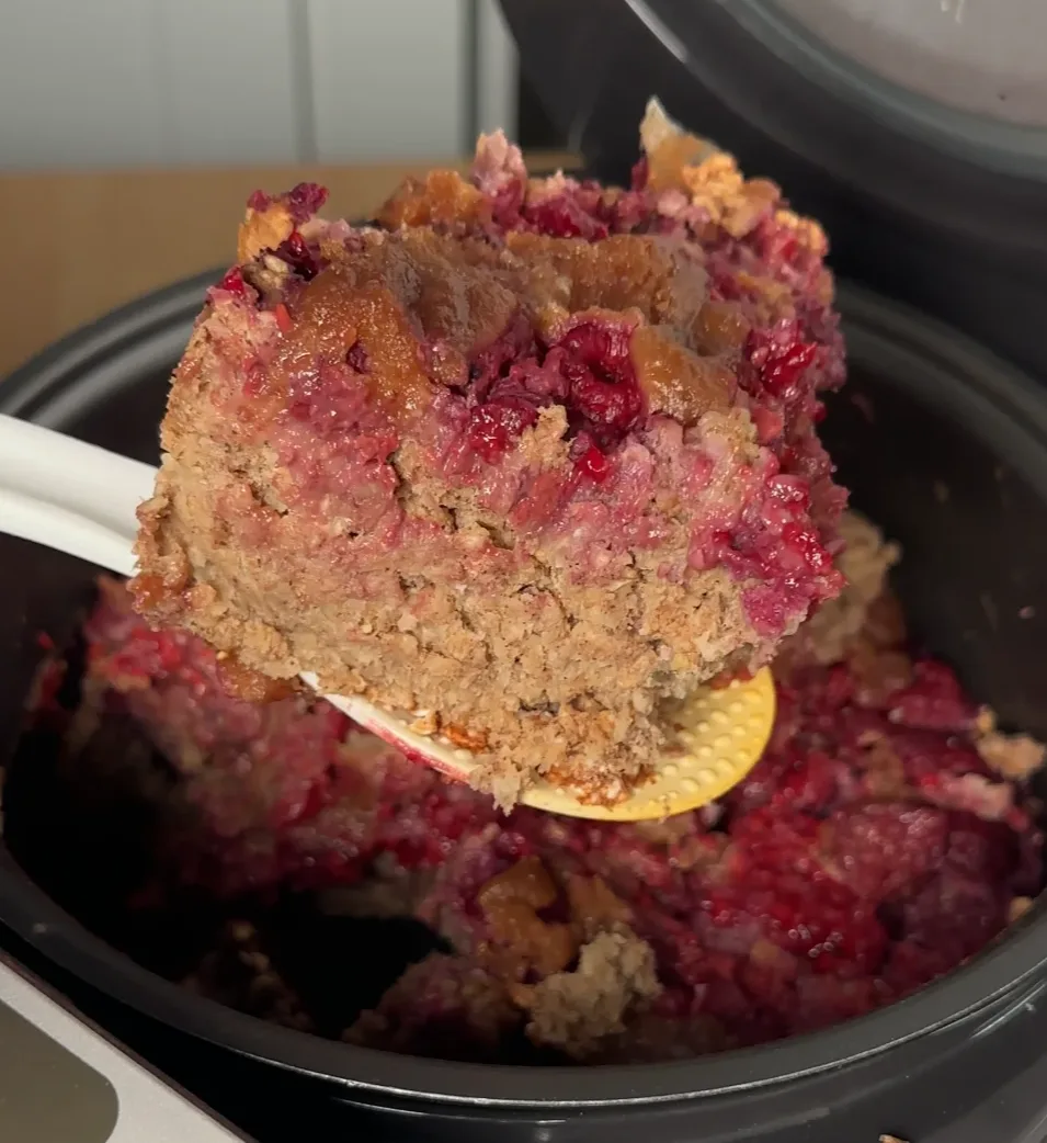 rice-cooker-oatmeal-protein-cake