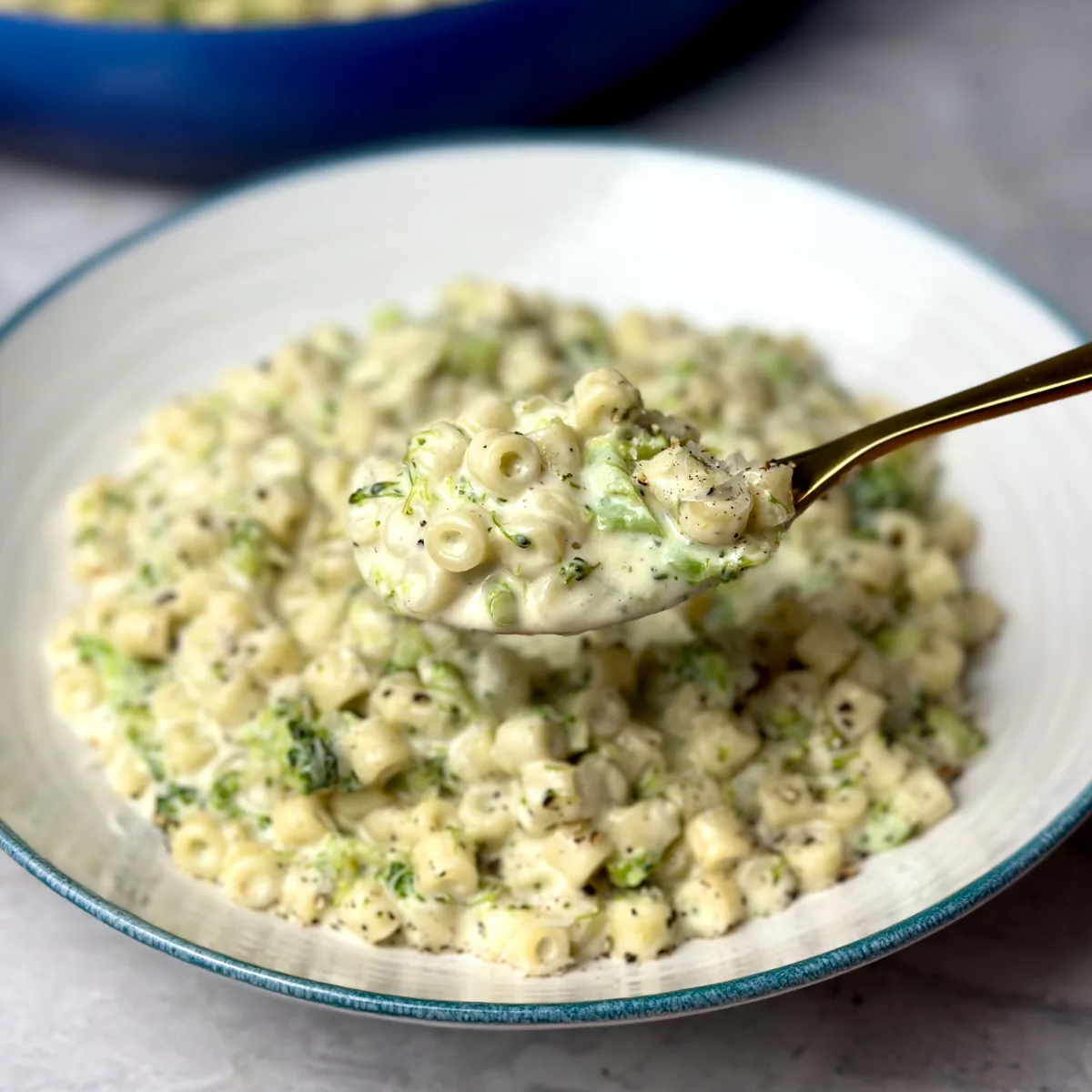 cheesy-and-creamy-broccoli-pasta-recipe