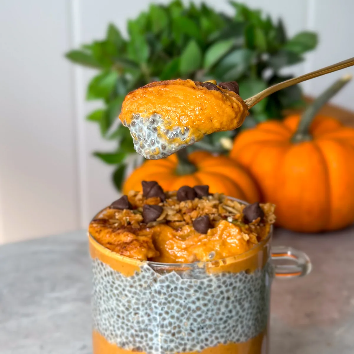 pumpkin-chia-pudding