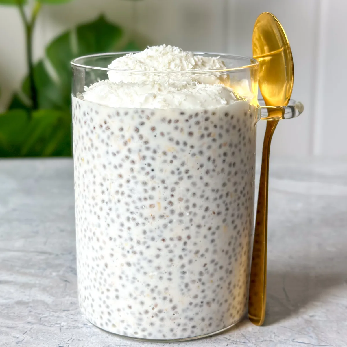 easy-coconut-chia-pudding-recipe-(coconut-raffaello)