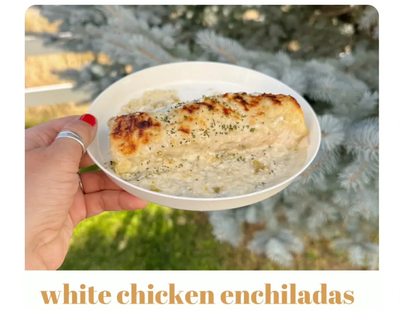 white-chicken-enchiladas