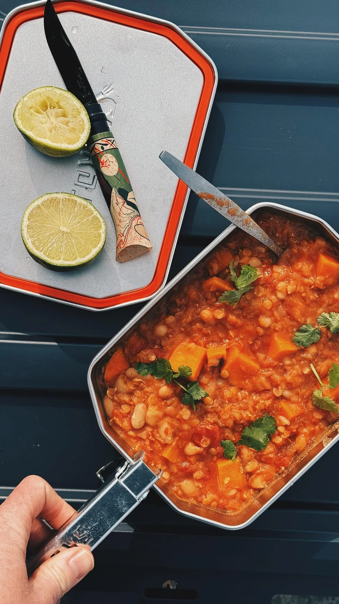 smoky-chipotle-lentil-and-sweet-potato-stew
