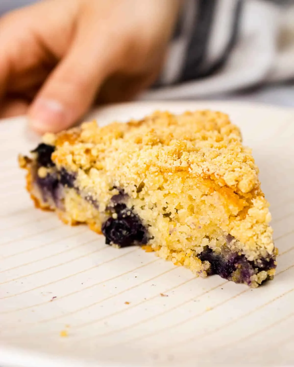 fluffy-vegan-blueberry-cake