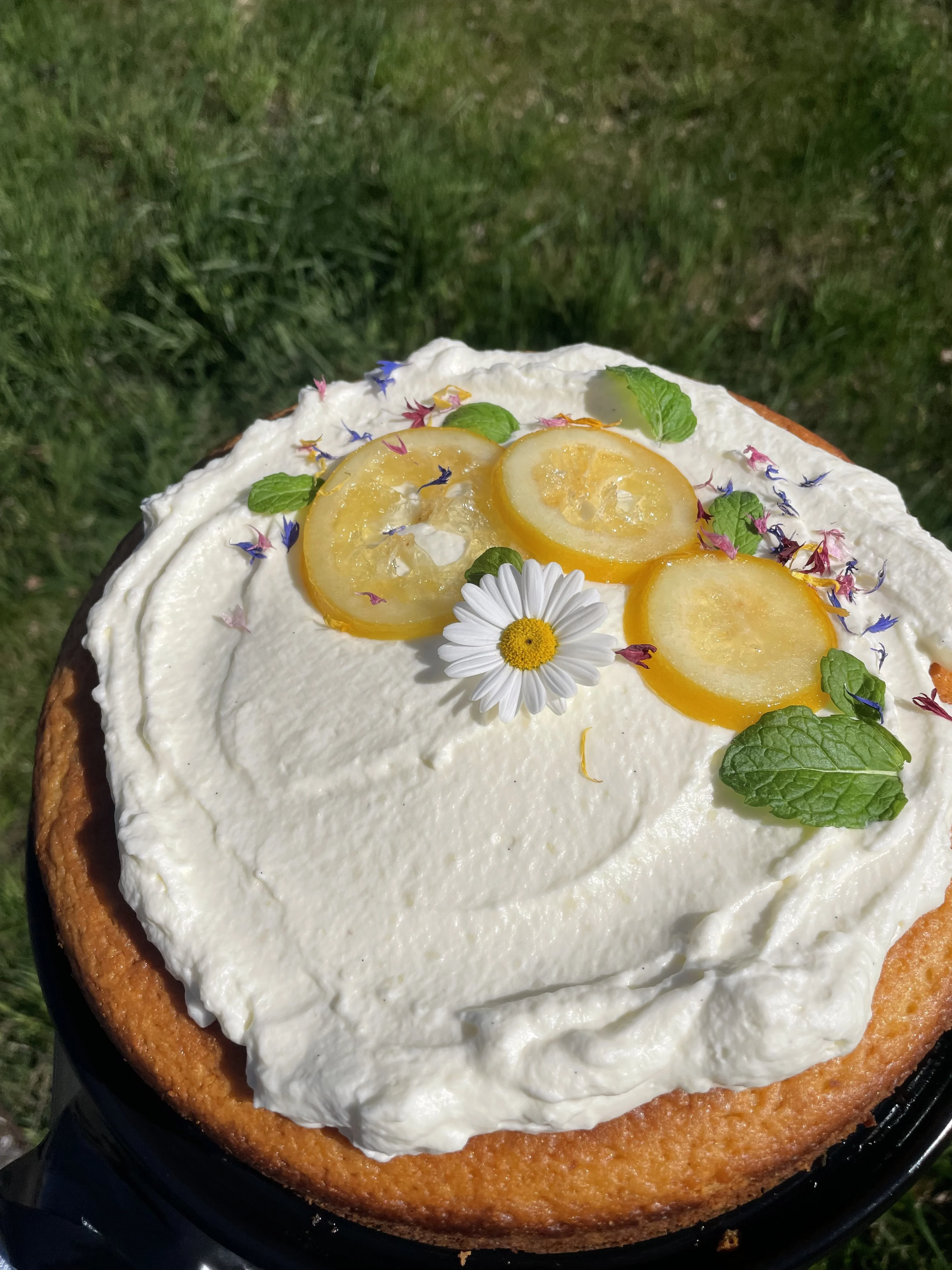 elderflower-and-lemon-cake