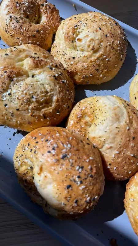 high-protein-everything-bagels