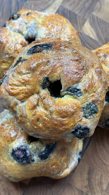 blueberry-cottage-cheese-bagels