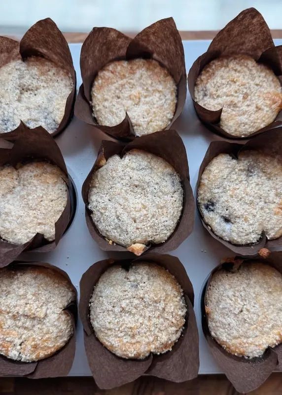 blueberry-lemon-cottage-cheese-muffins