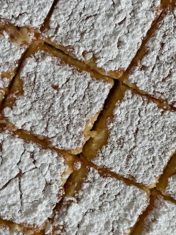 ooey-gooey-protein-bars