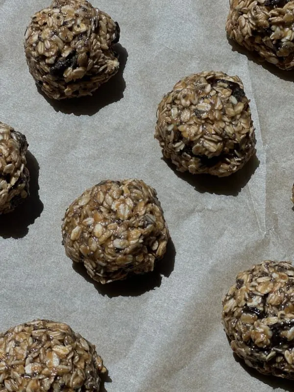 no-bake-protein-bites