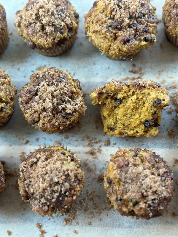cottage-cheese-pumpkin-chocolate-chip-muffins