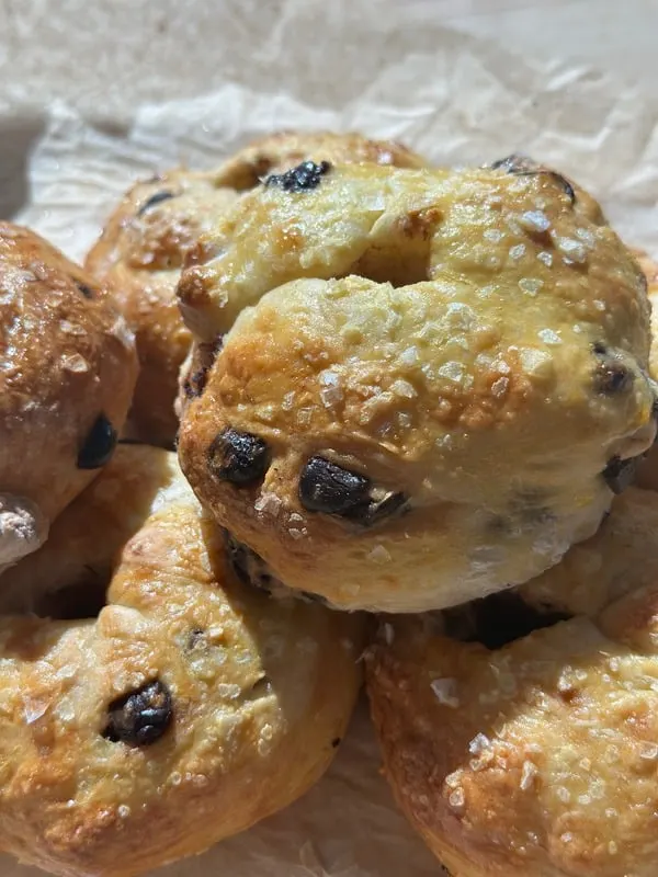 cottage-cheese-bagels