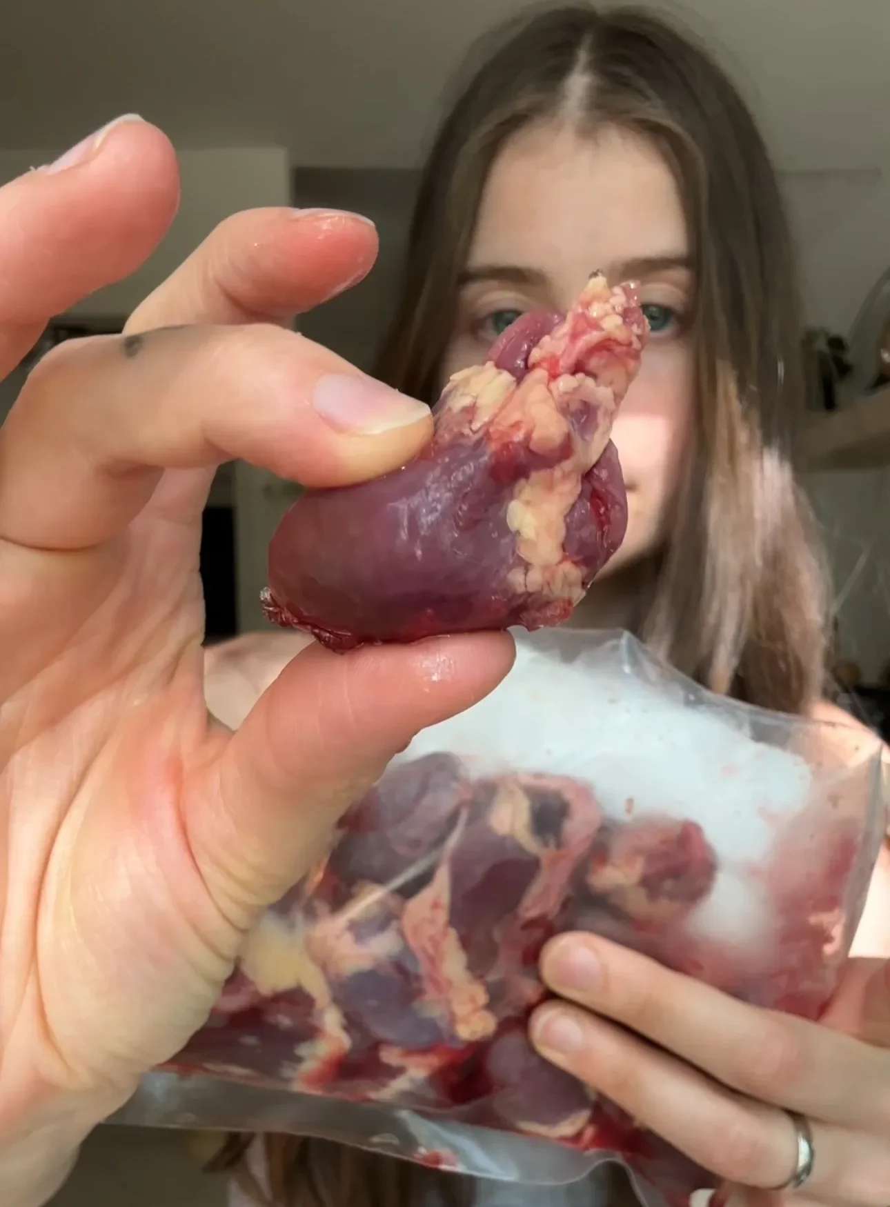 chicken-heart-mushroom-meatloaf