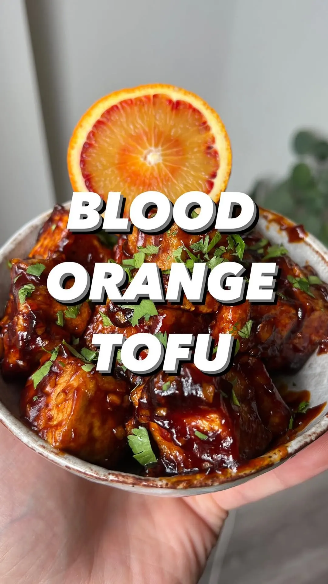 blood-orange-tofu
