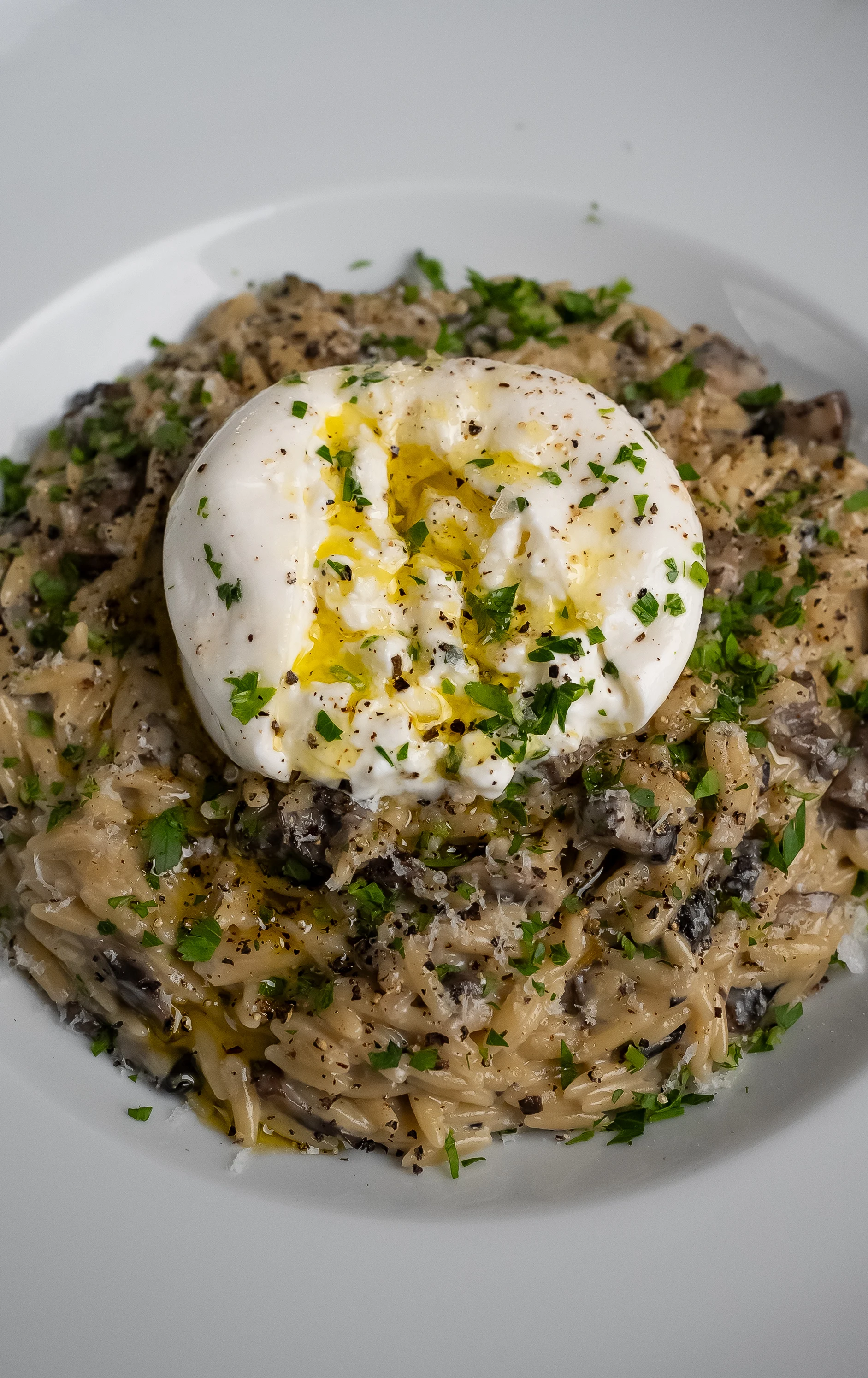 creamy-mushroom-orzo-with-burrata