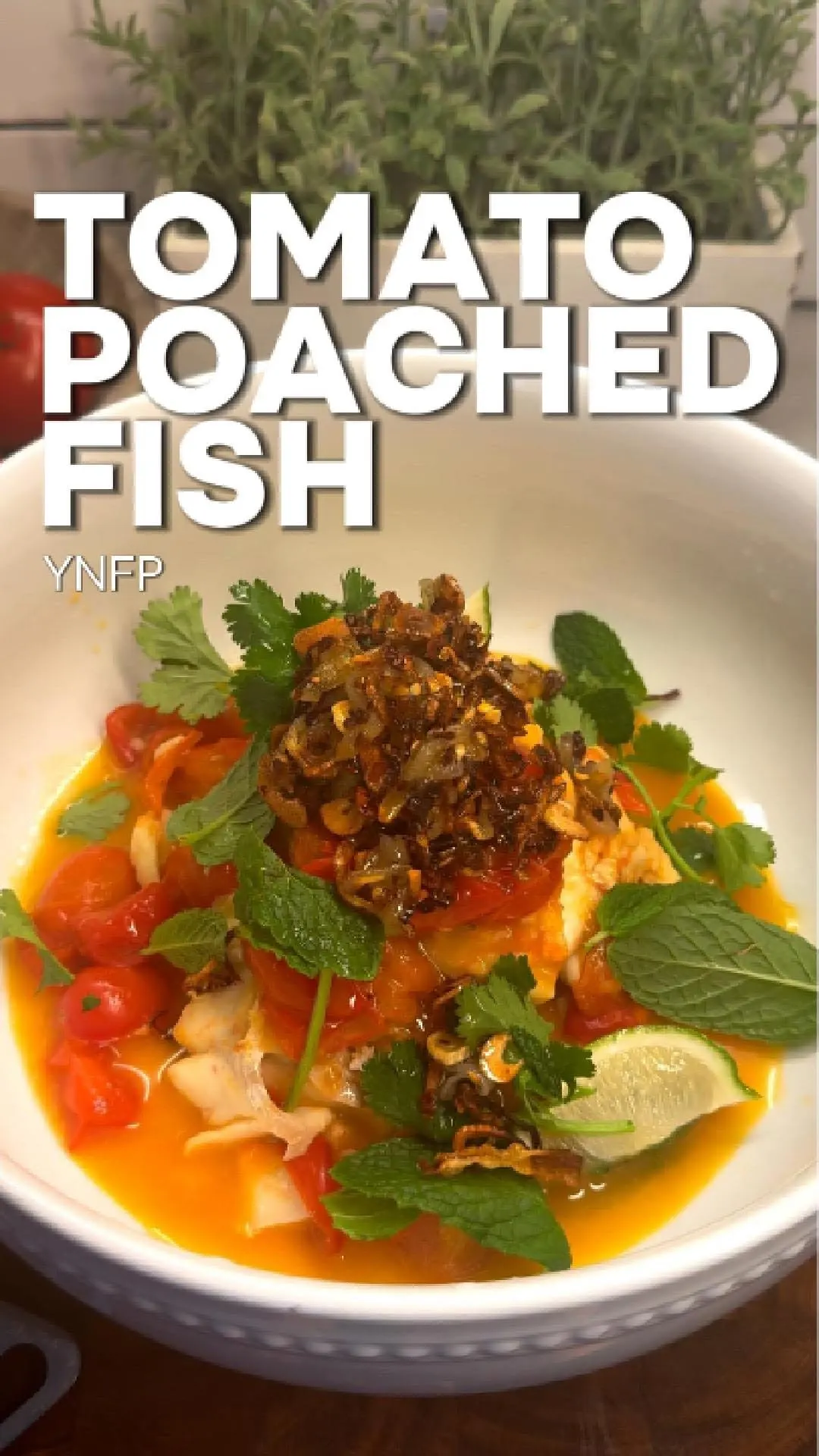 tomato-poached-fish