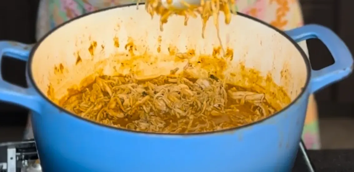 saucy-shredded-chicken