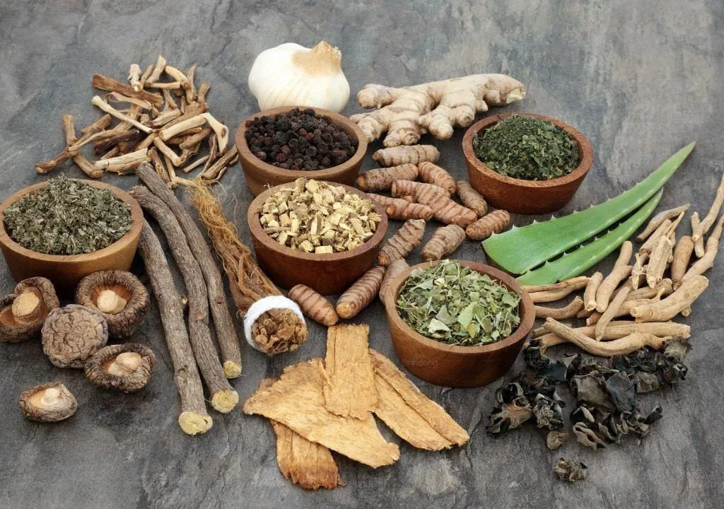 thuoc-tri-ho-lau-ngay-khong-khoi:-giai-phap-hieu-qua-cho-ho-keo-dai-khong-dut