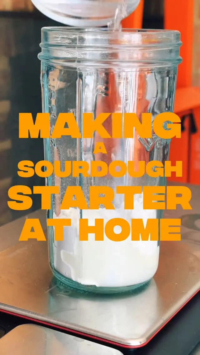 sourdough-starter
