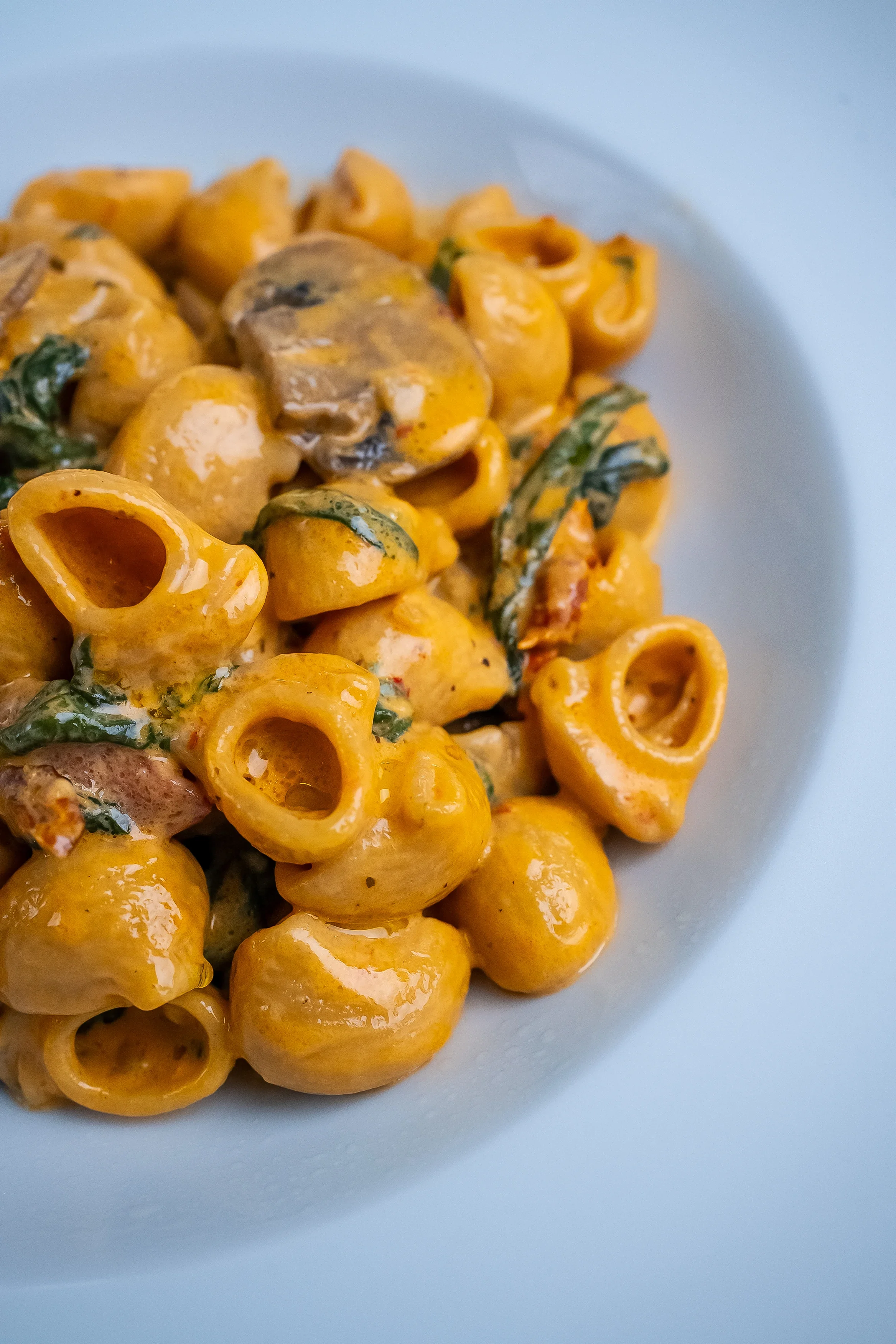marry-me-mushroom-shellbows
