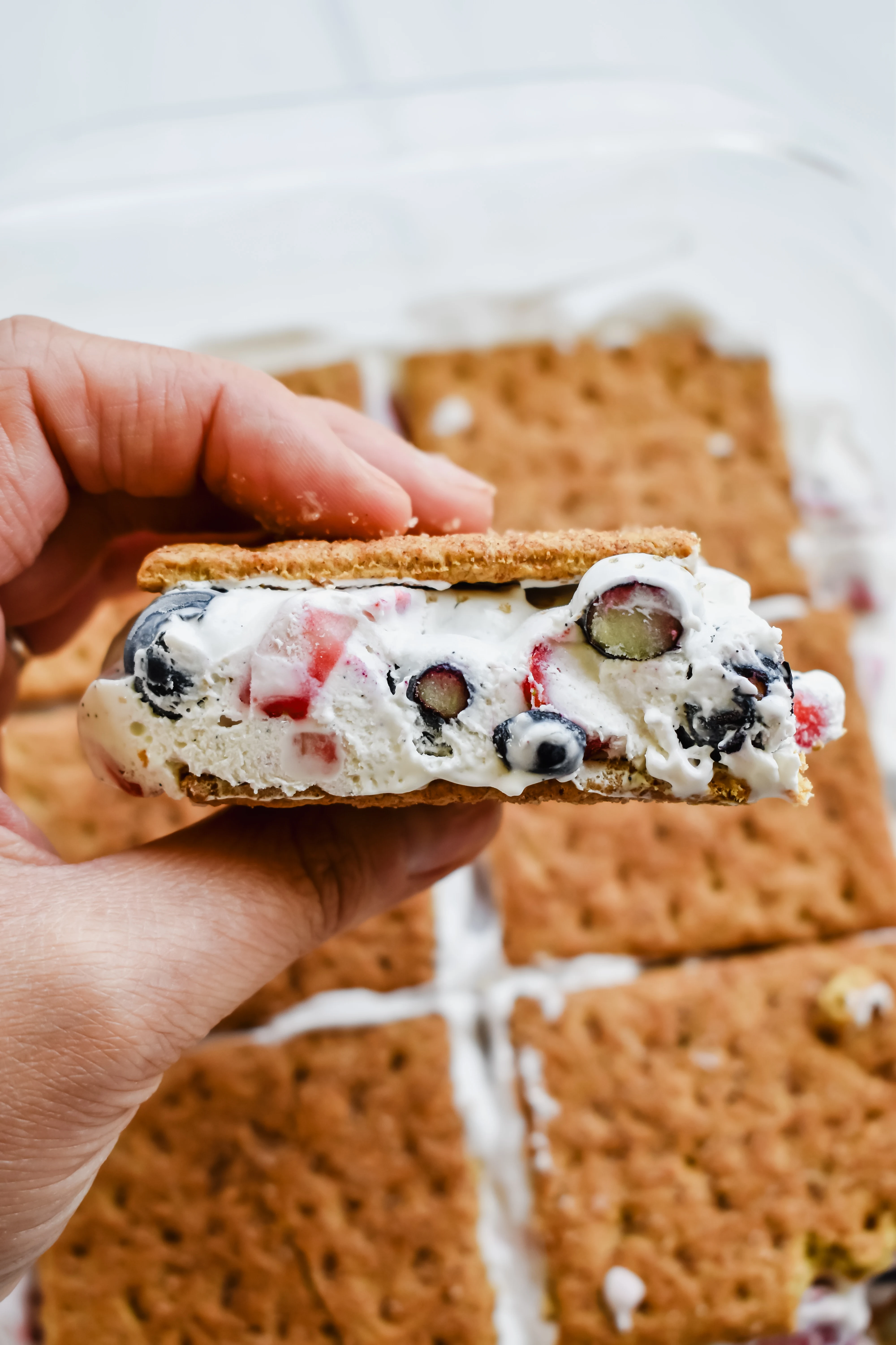 frozen-berry-ice-cream-graham-cracker-sandwiches