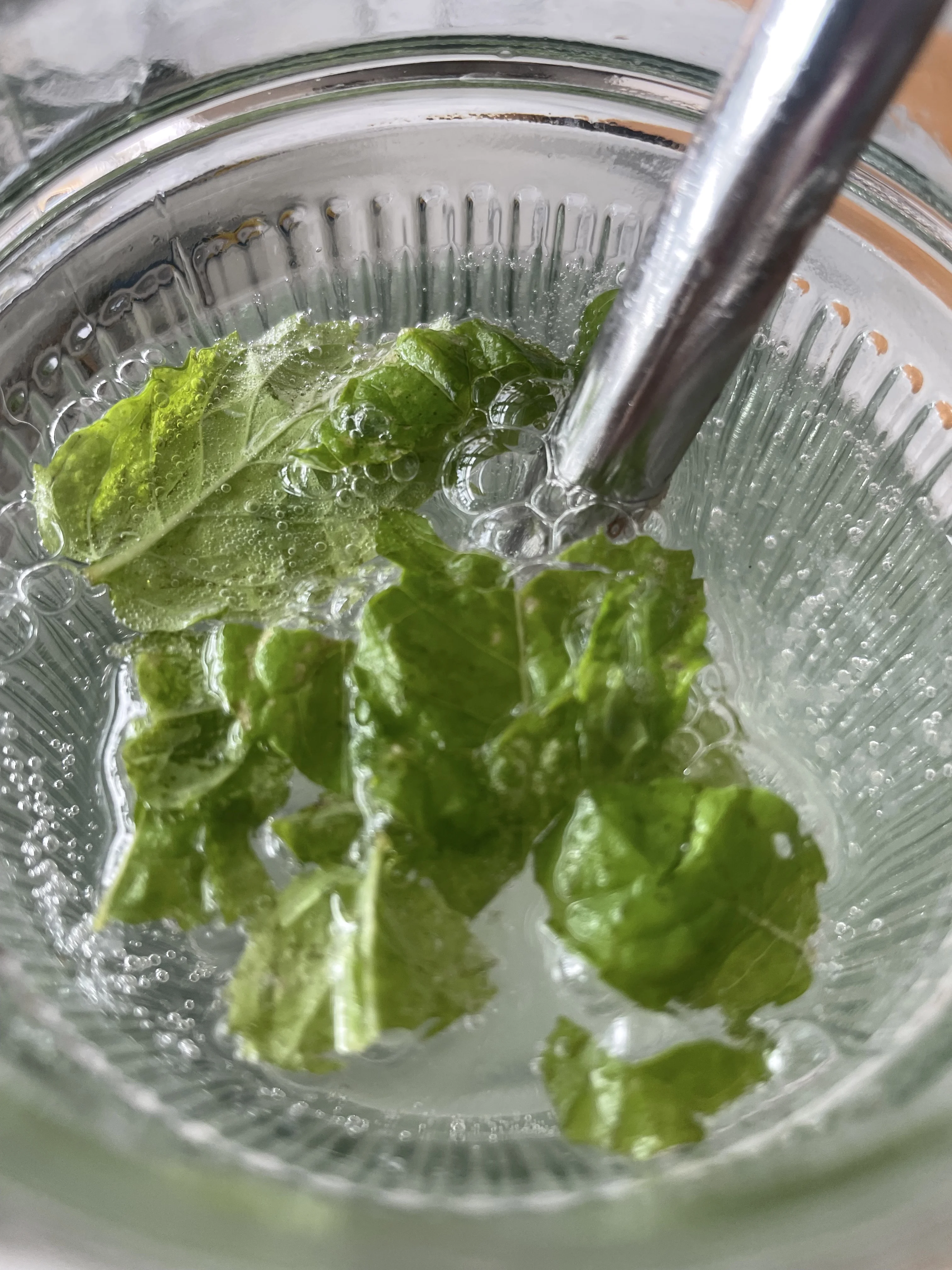 elderflower-cooler