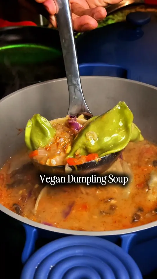 vegan-dumpling-soup