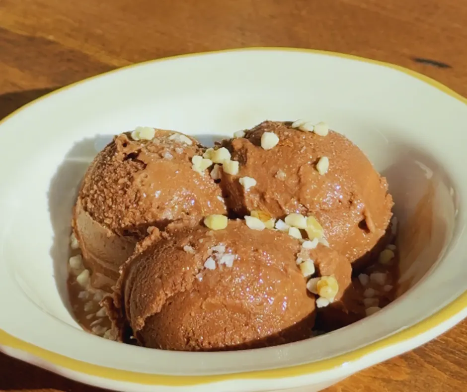 chocolate-tofu-ice-cream