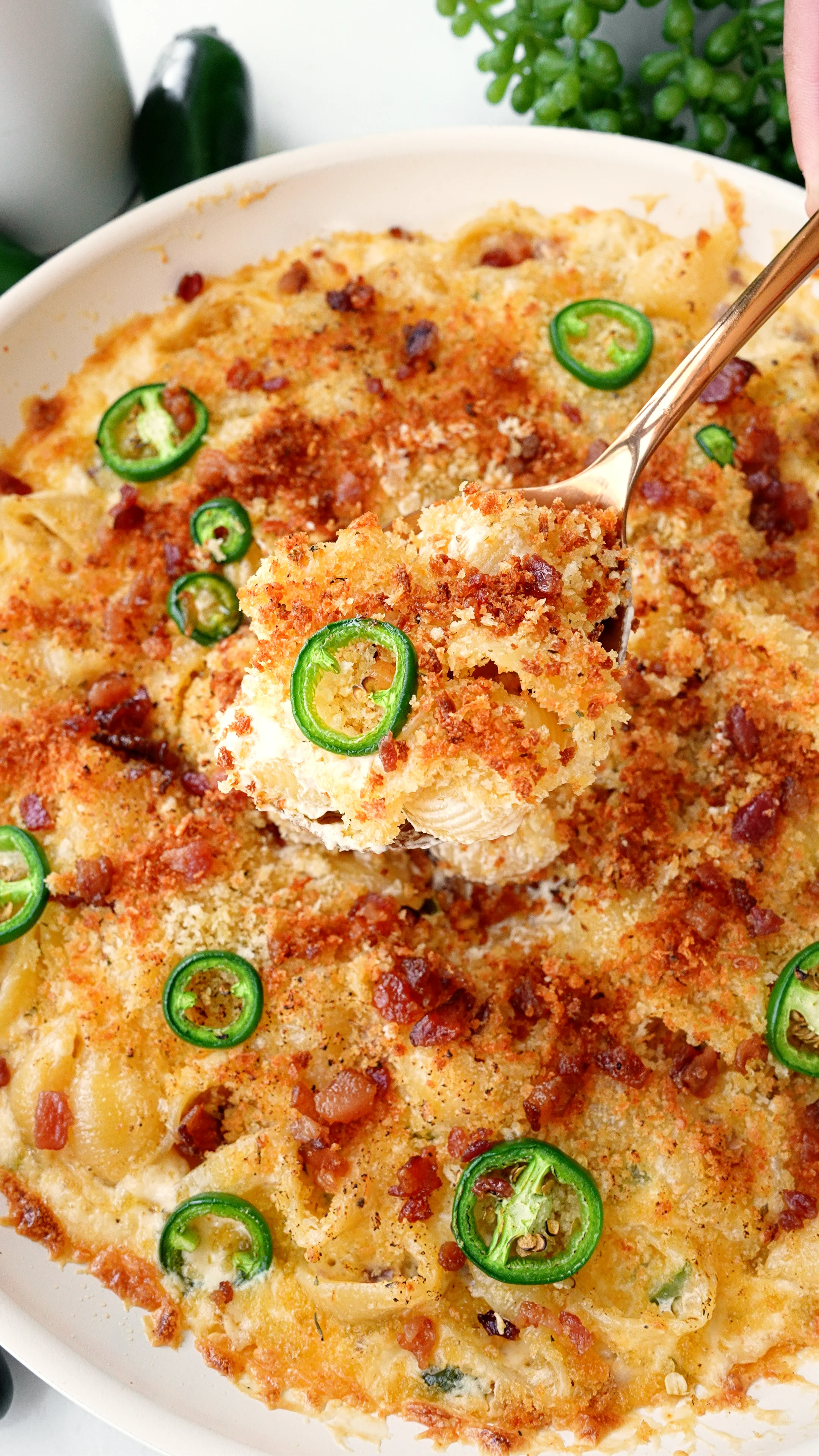 quick-and-creamy-jalapeno-popper-mac-and-cheese