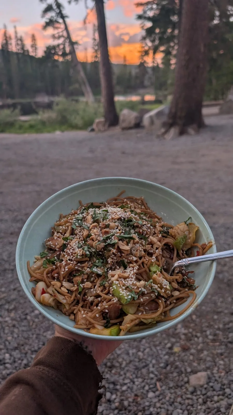 dani's-dan-dan-noodles