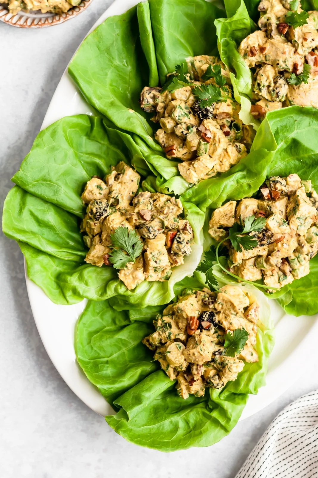 fibromyalgia:-turmeric-chicken-salad-lettuce-wraps
