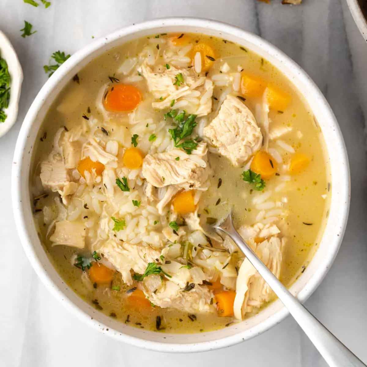 ibs:-low-fodmap-chicken-and-rice-soup