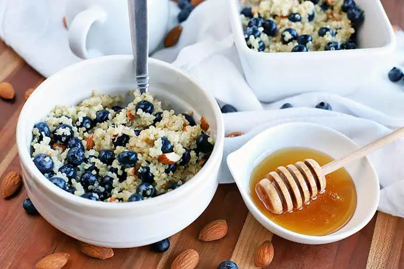 fibromyalgia:-creamy-quinoa-breakfast-bowl-with-blueberries-and-almond-butter