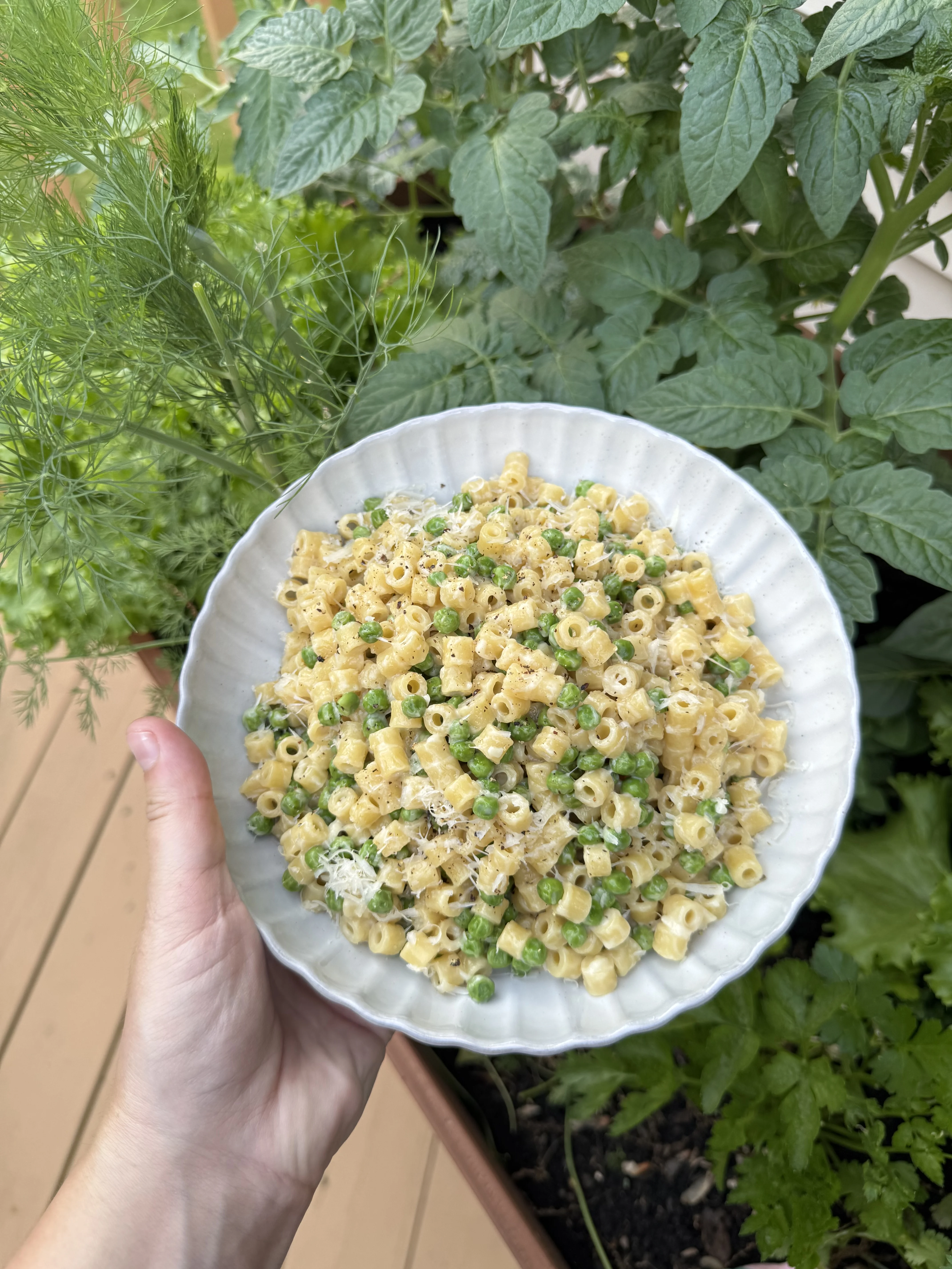one-pan-creamy-pasta-w-peas