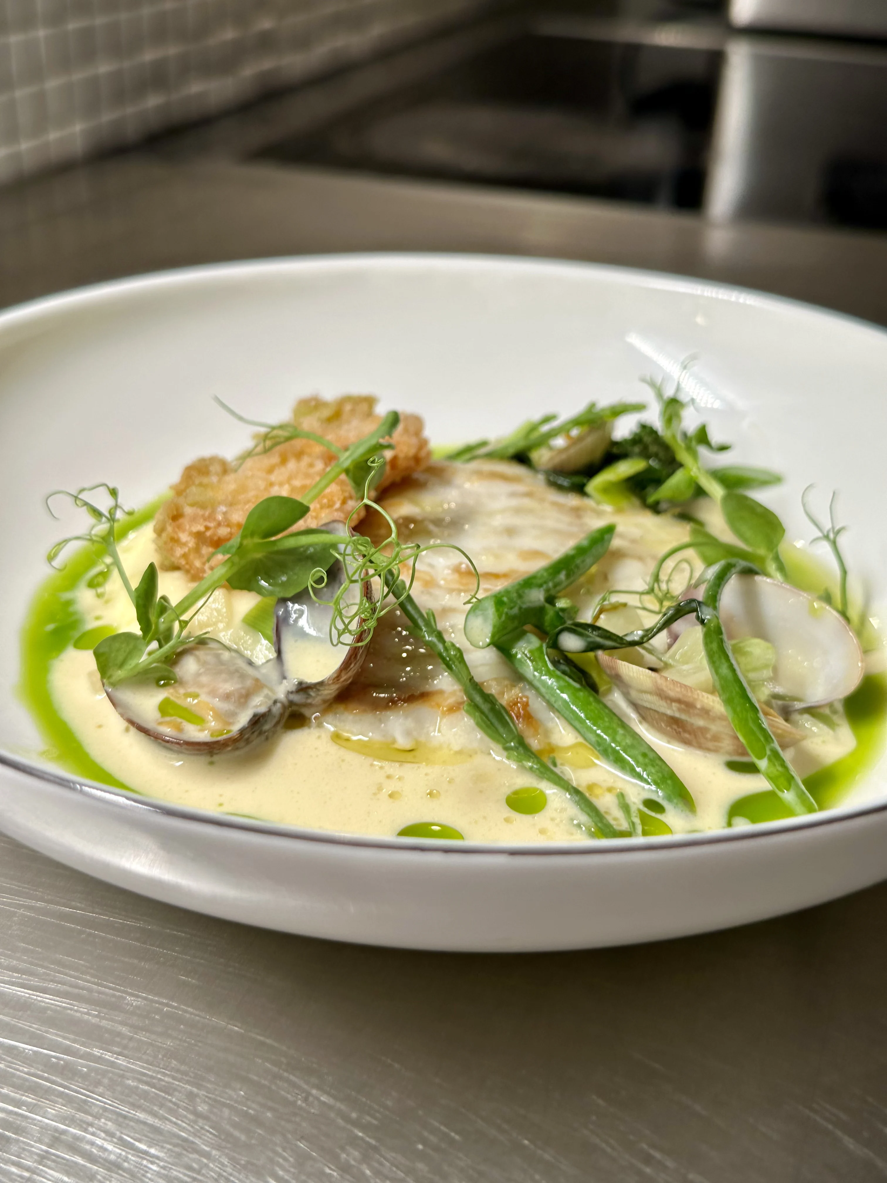 turbot-with-turbot-veloute-clams-and-herb-oil
